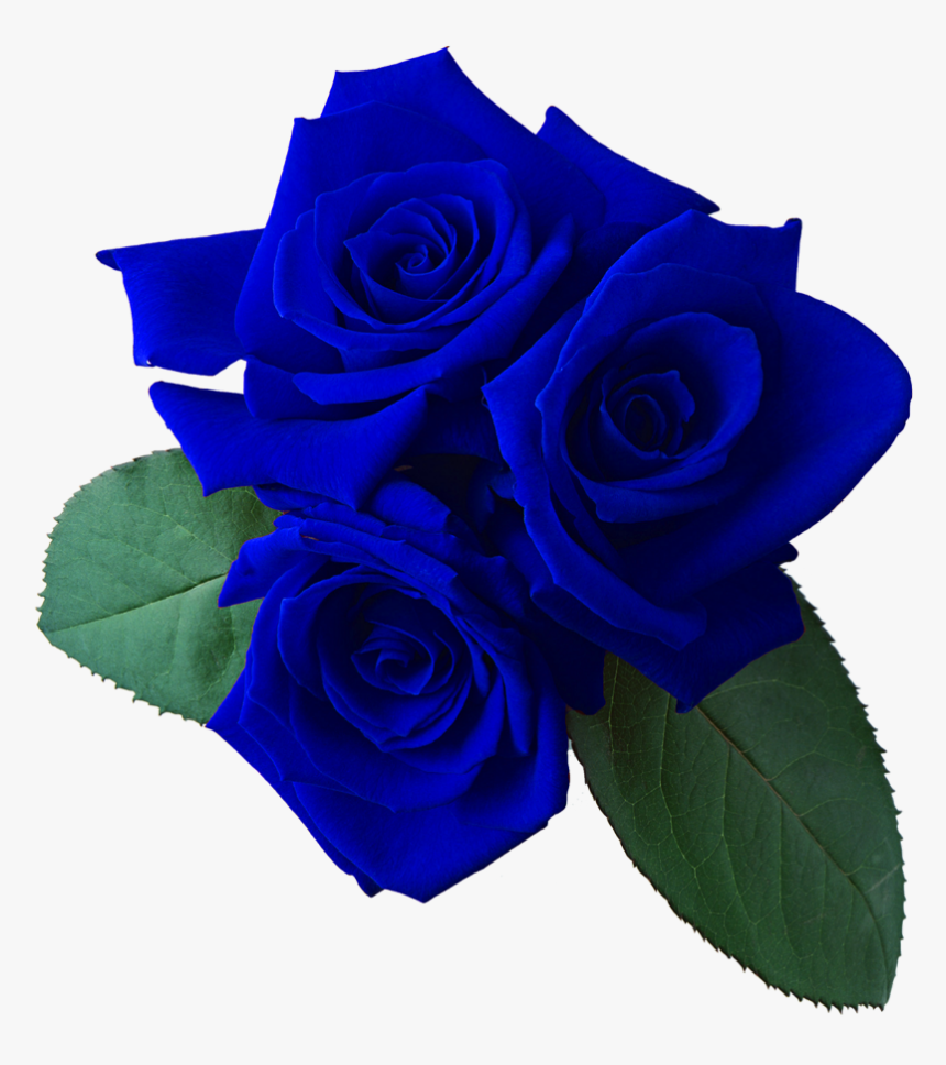 Rose Red Flower Png - Transparent Background Roses Png, Png Download