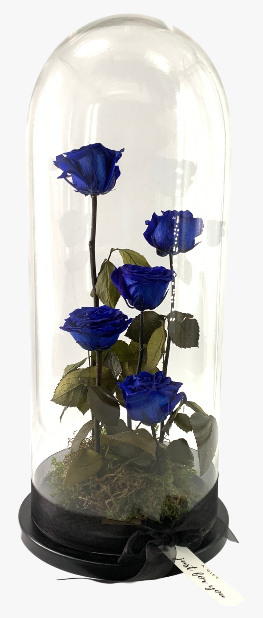 Garden Roses, HD Png Download