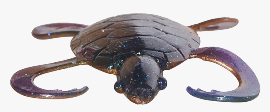 Transparent As Seen On Tv Png - Eastern Newt, Png Download