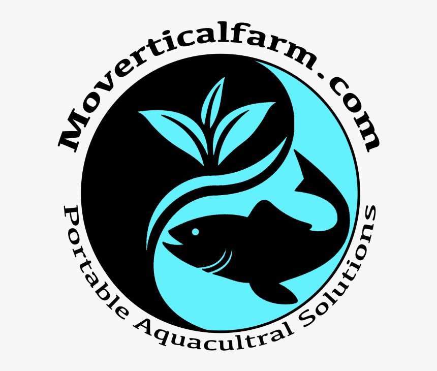 She's The Prettiest Girl At The Party Frank Iero, HD Png Download