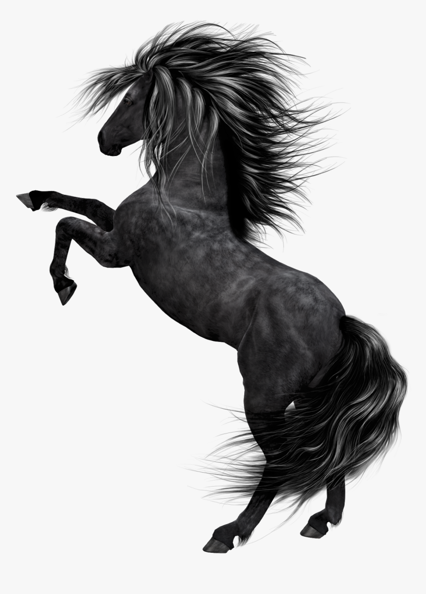 Black Horse Png Hd, Transparent Png