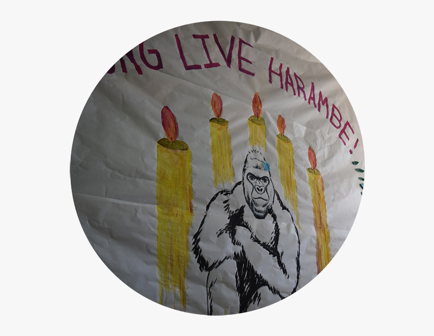 Creative Arts, HD Png Download