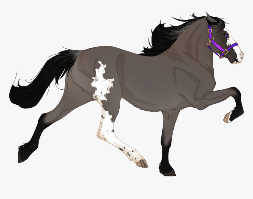 Transparent Filigree Png - Gulastra Plume Black Horse, Png Download