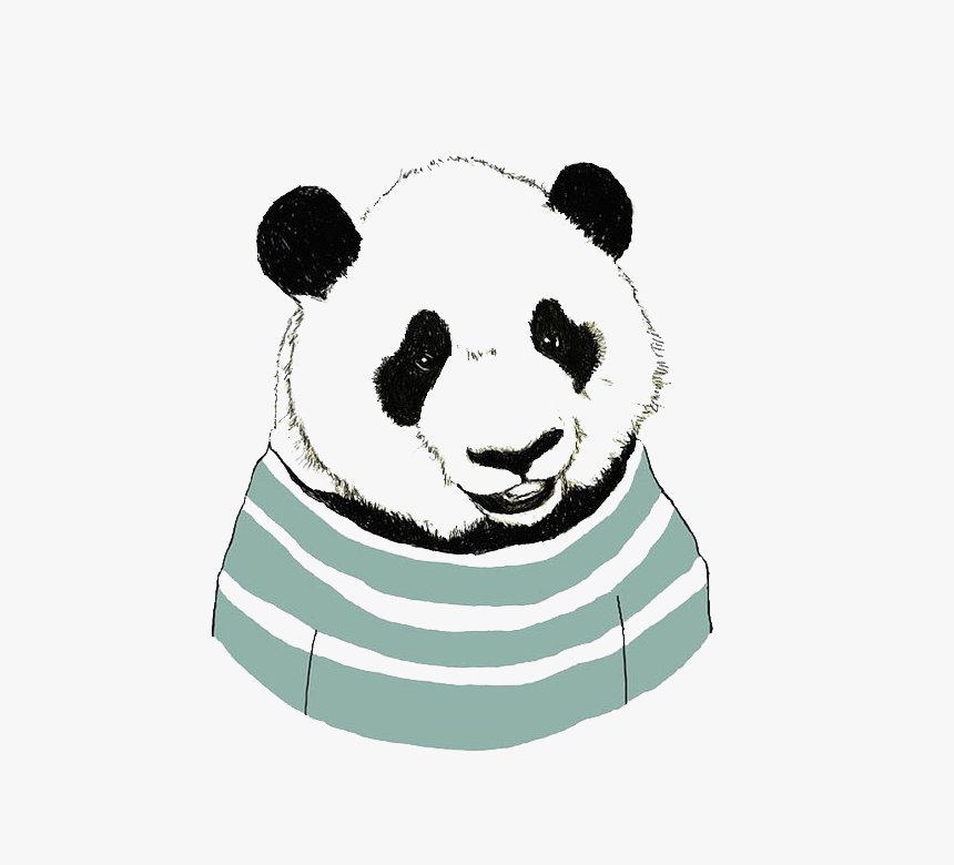 Panda Bear Drawing, HD Png Download