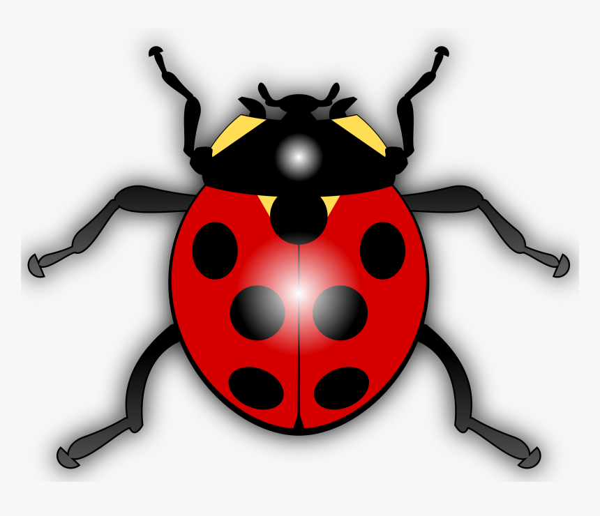 Leg Clipart Cartoon Bug - Ladybird Clipart, HD Png Download
