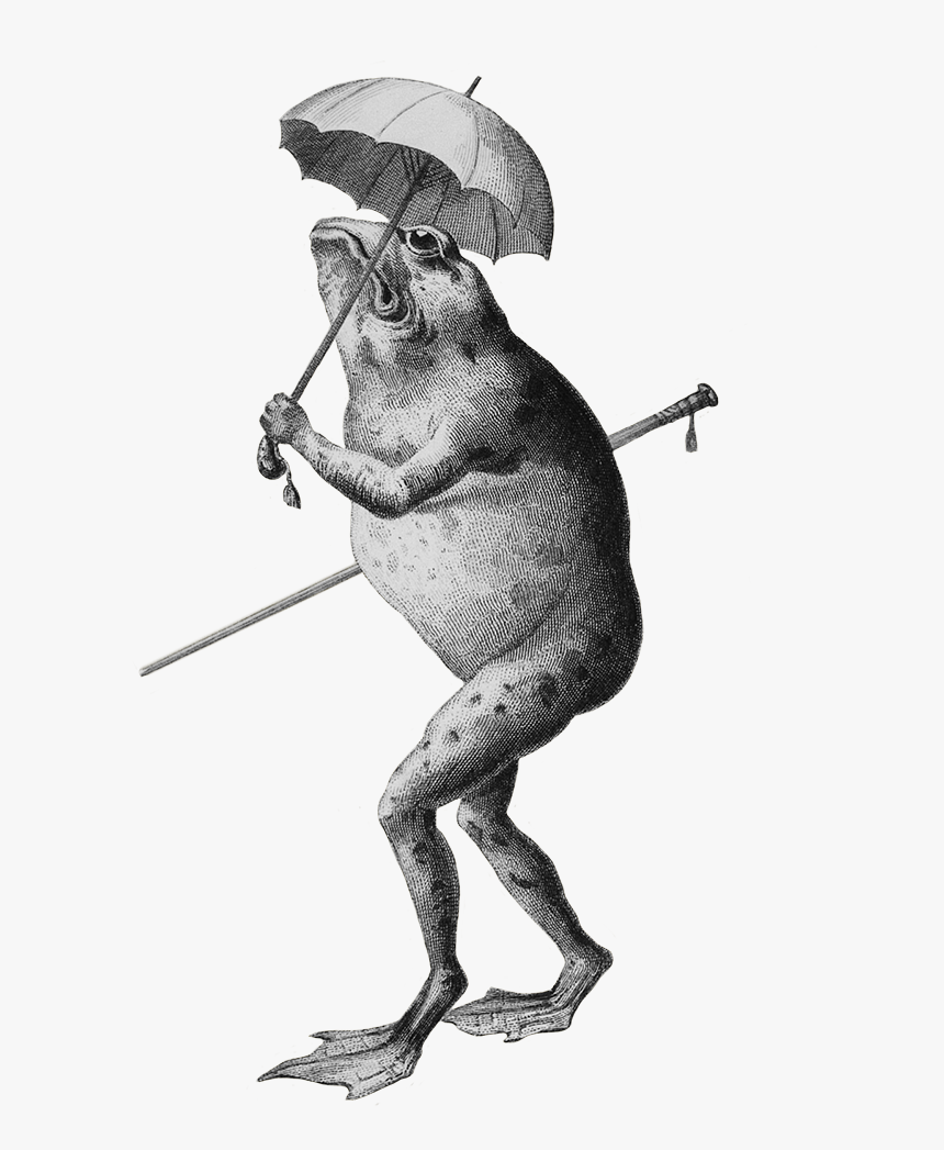 Frog Clip Art Cartoon - Cartoon Frog With Umbrella, HD Png Download