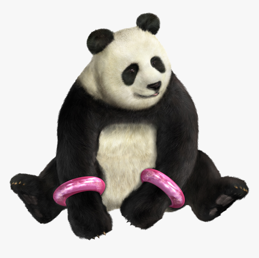 Panda Png Free Image Download - Tekken Girl With Panda, Transparent Png