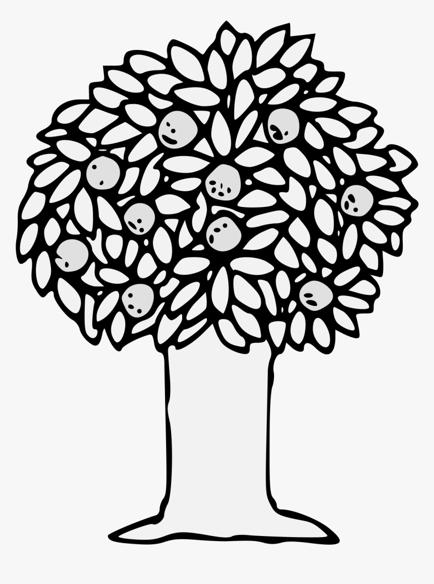 Transparent Orange Tree Png - Illustration, Png Download