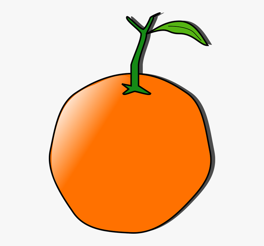Orange Fruit Clipart Orange Tree - Orange Clip Art, HD Png Download