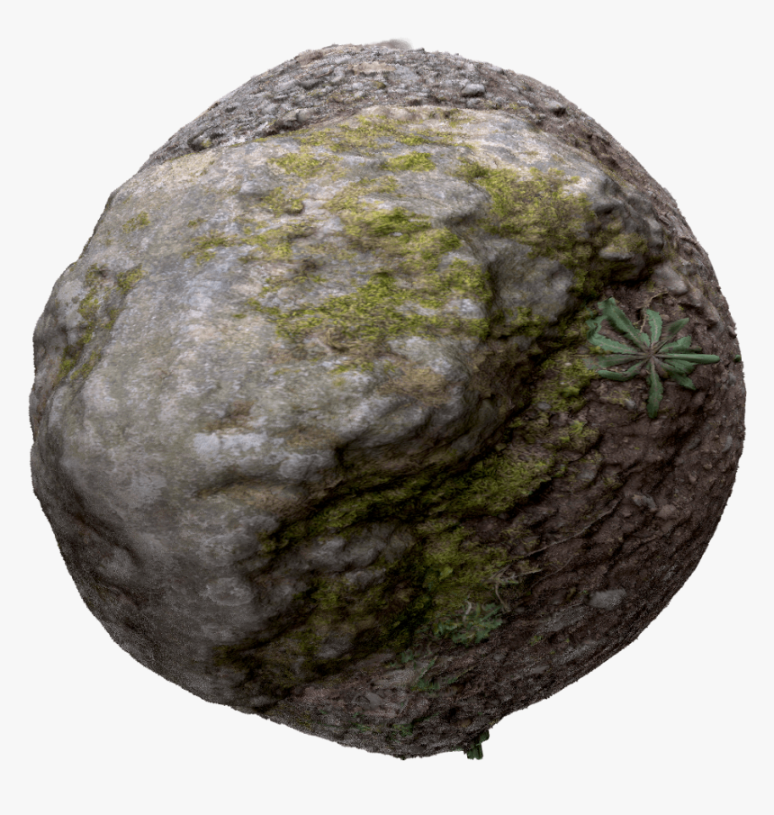 Forest Rock Texture, HD Png Download