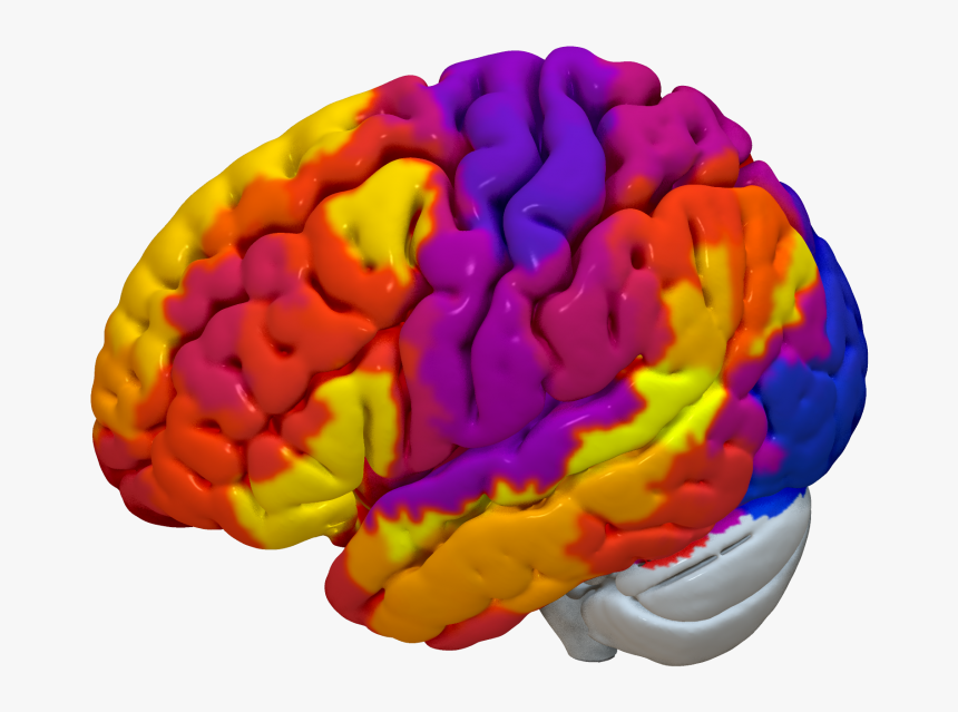 Clip Art, HD Png Download