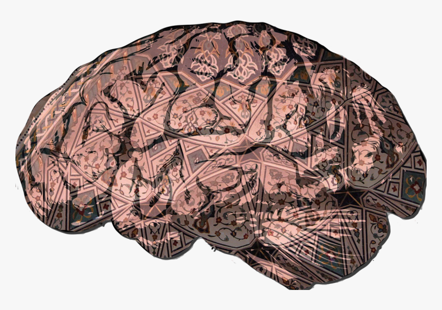 Bipolar Disorder Brain Png, Transparent Png