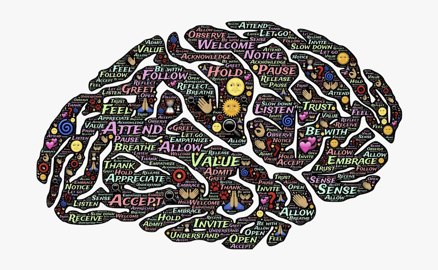 Cerebro De La Mujer Embarazada, HD Png Download
