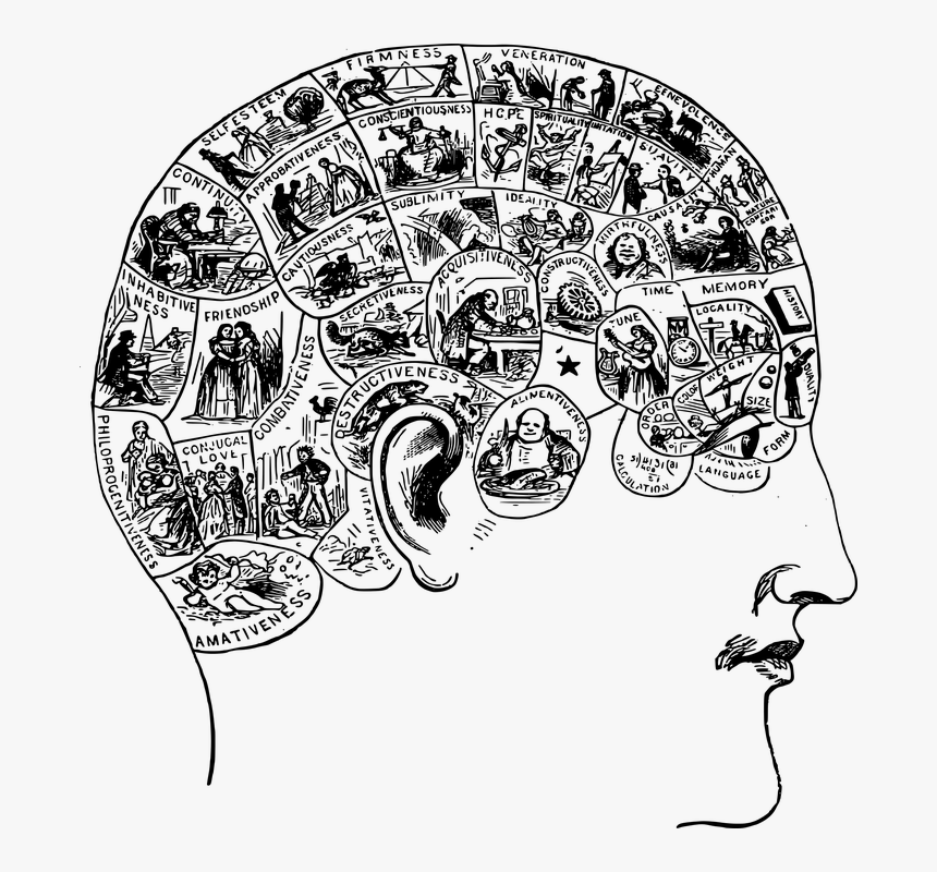 Brain Narrative, HD Png Download