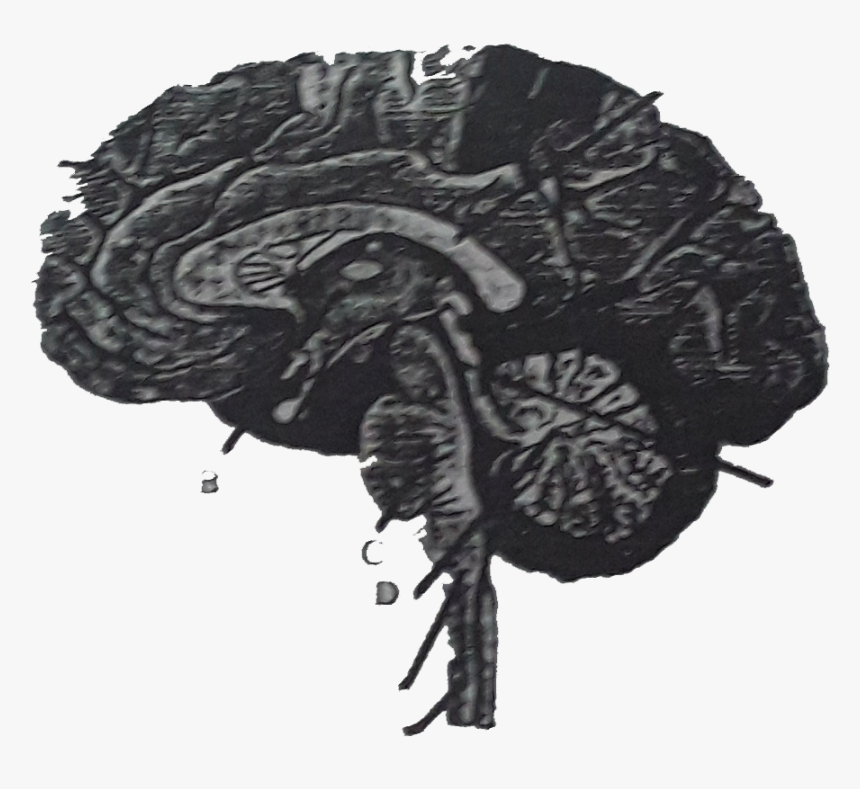 Illustration, HD Png Download