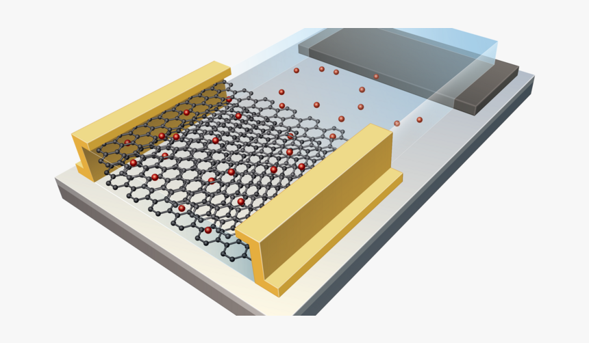 Crean Una Sinapsis Artificial Que Imita La Forma De, HD Png Download