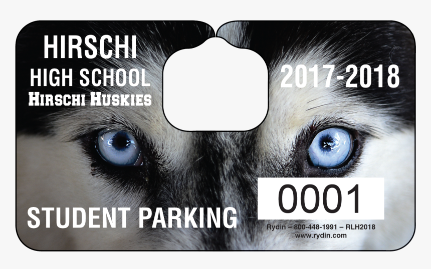 Companion Dog, HD Png Download