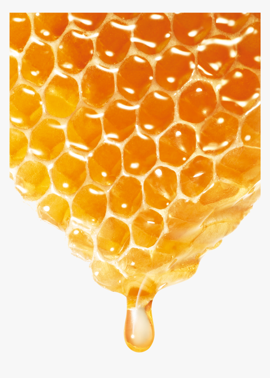 Bee Honey, HD Png Download