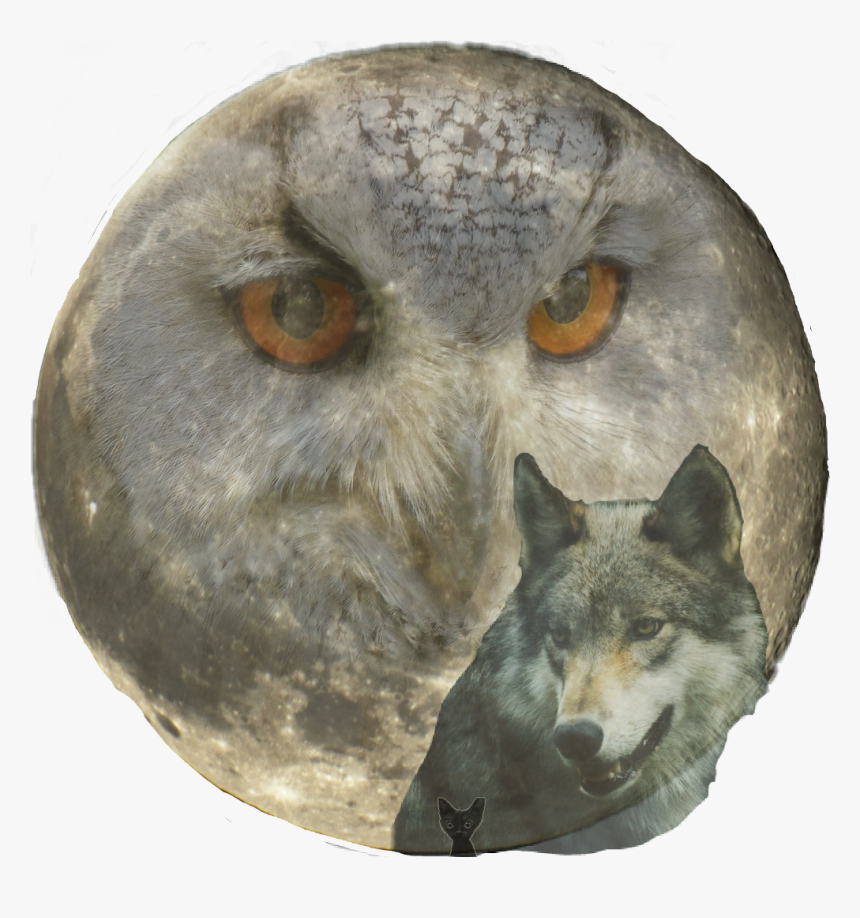 There Are Eyes, Watching, HD Png Download