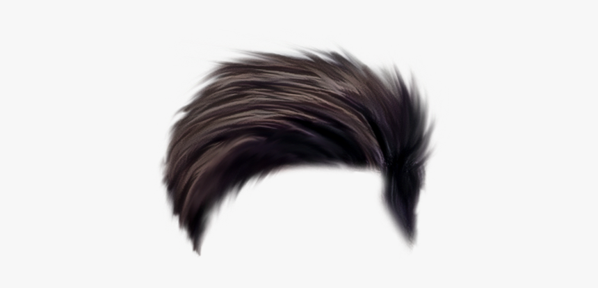 Hairstyle Png For Picsart Transparent Png Transparent Png Image