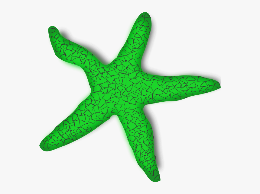 Sea Star In Cartoon, HD Png Download
