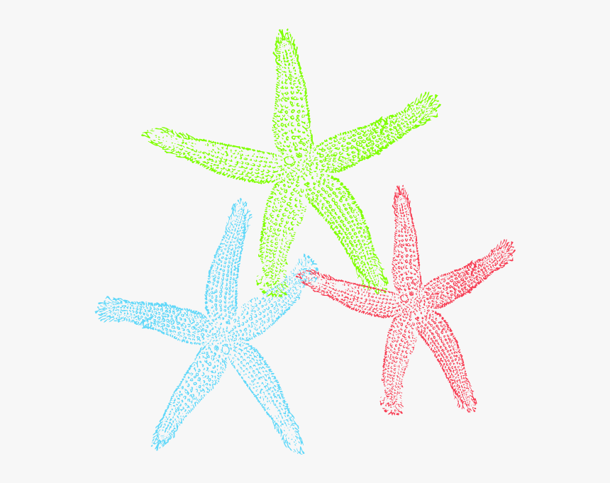 Starfish Public Domain Clipart Free Starfish Clip Art Hd Png