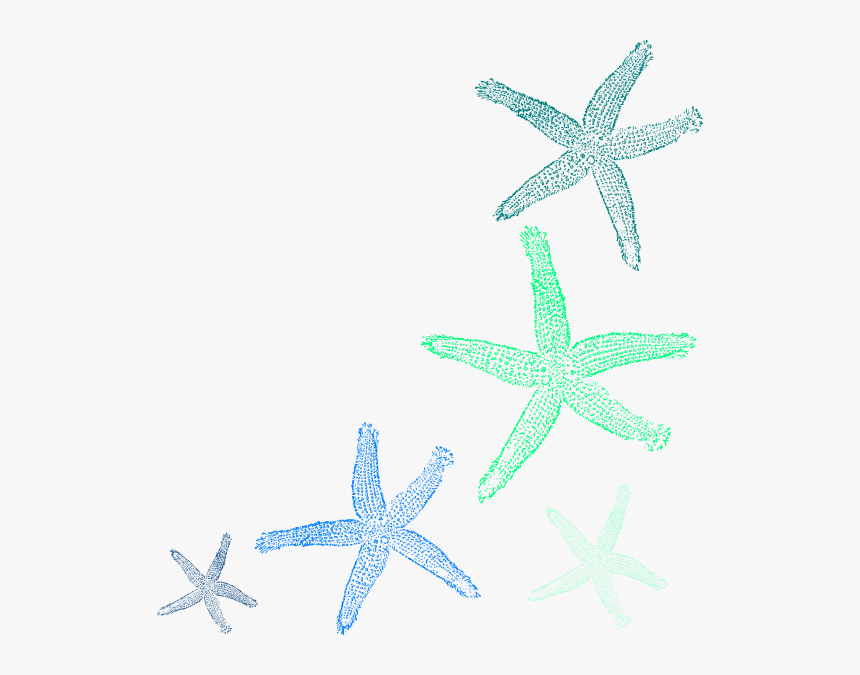 Clip Art Seashell Png, Transparent Png