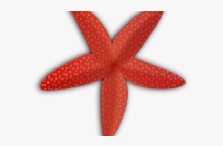 Free Starfish Clipart - Etoile De Mer Svg, HD Png Download