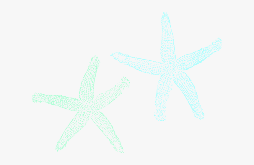 Starfish, HD Png Download