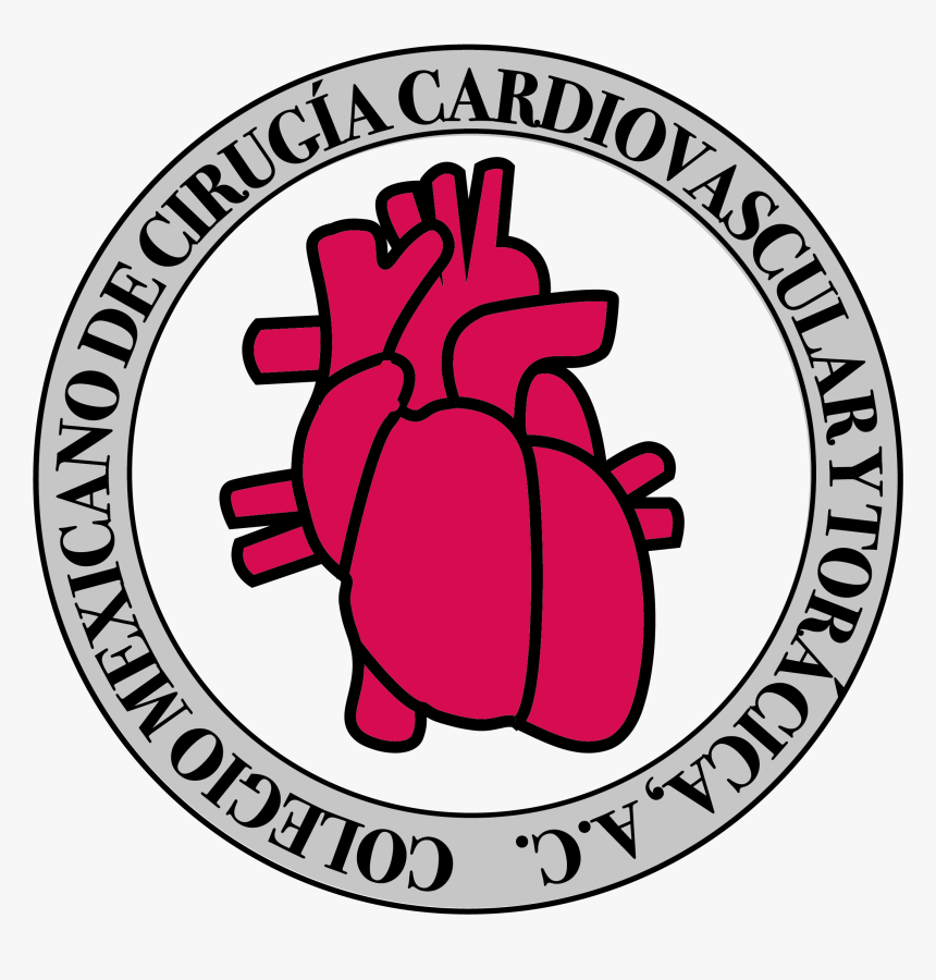 Colegio Logo Y Letras Y Gris Def - Political Action Committee, HD Png Download