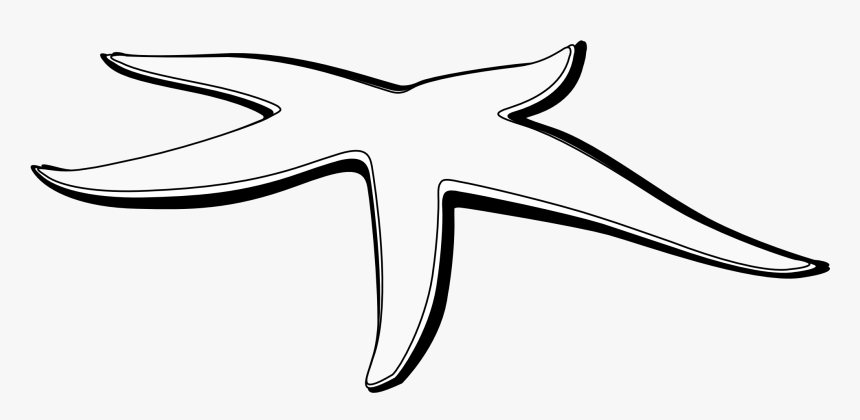 Starfish Black And White Clipart - Line Art, HD Png Download