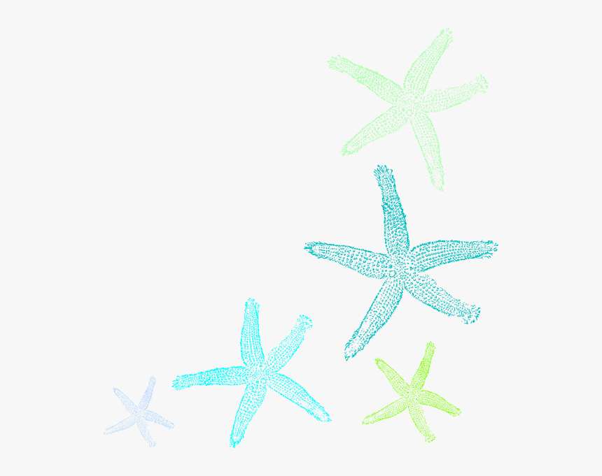 Starfish Prints Clip Art At Clker - Star Fish Art Transparent, HD Png Download