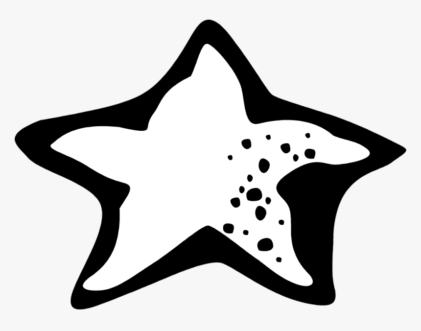 Transparent Starfish Png - Estrela Do Mar Preta Em Png, Png Download