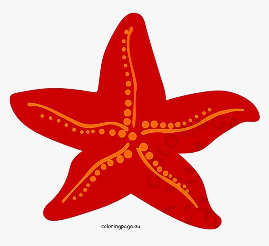 Starfish Red Clipart Sea Life Coloring Page Transparent - Starfish Clipart Red, HD Png Download