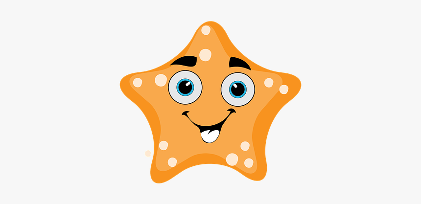 Starfish, The Sea, The Ocean, Coast - ปลาดาว Clipart Png, Transparent Png