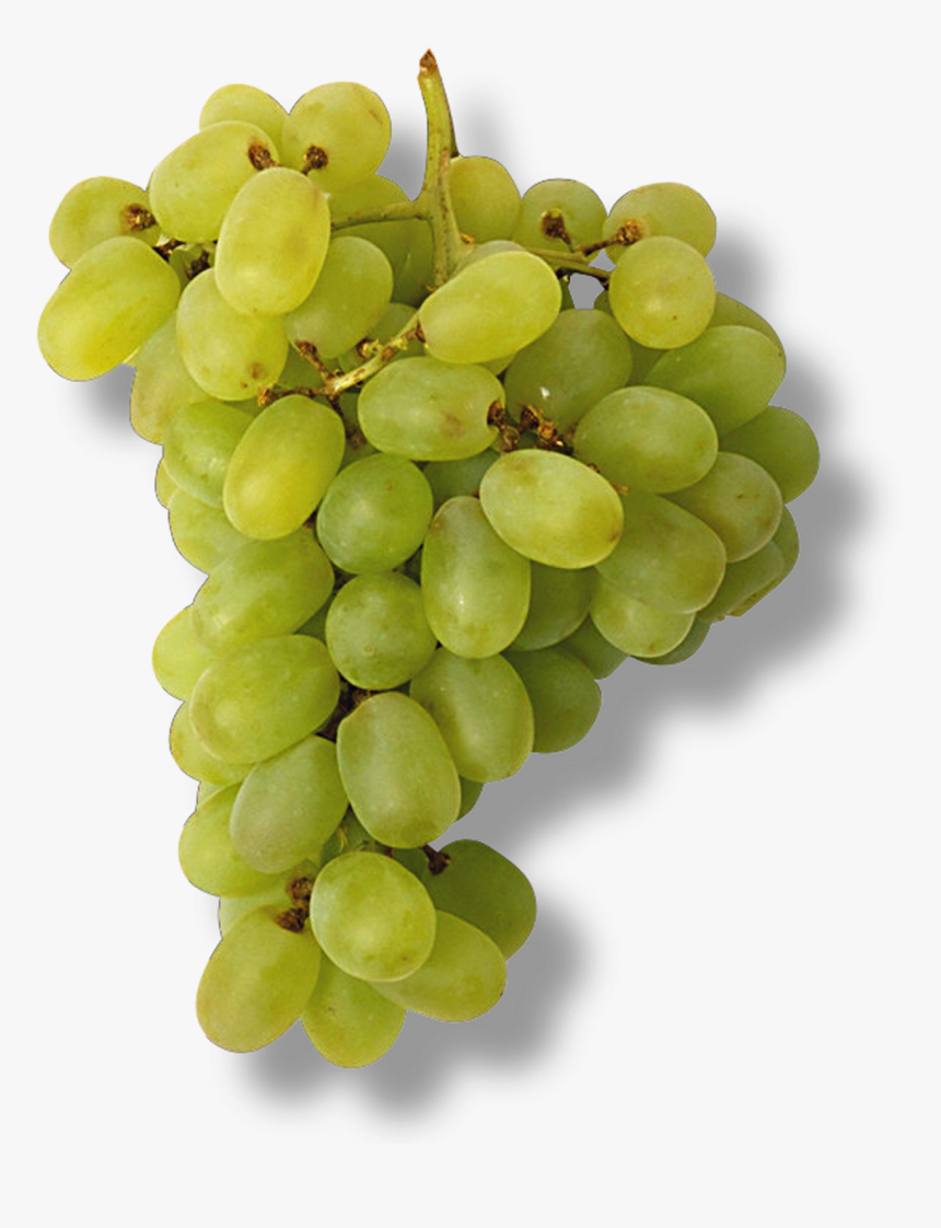Une Grappe De Raisin, HD Png Download , Transparent Png Image PNGitem