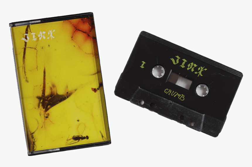 Bee, HD Png Download