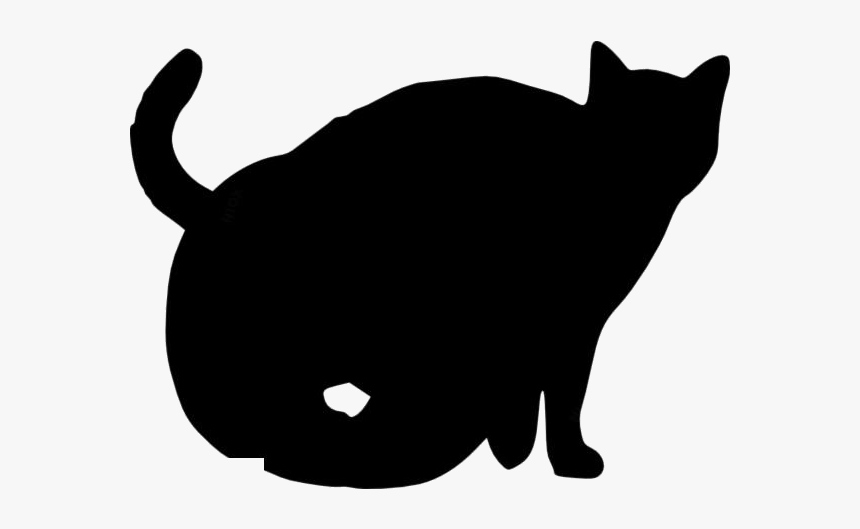 Halloween Cat Png Transparent Images - Cat Playing With Yarn, Png Download