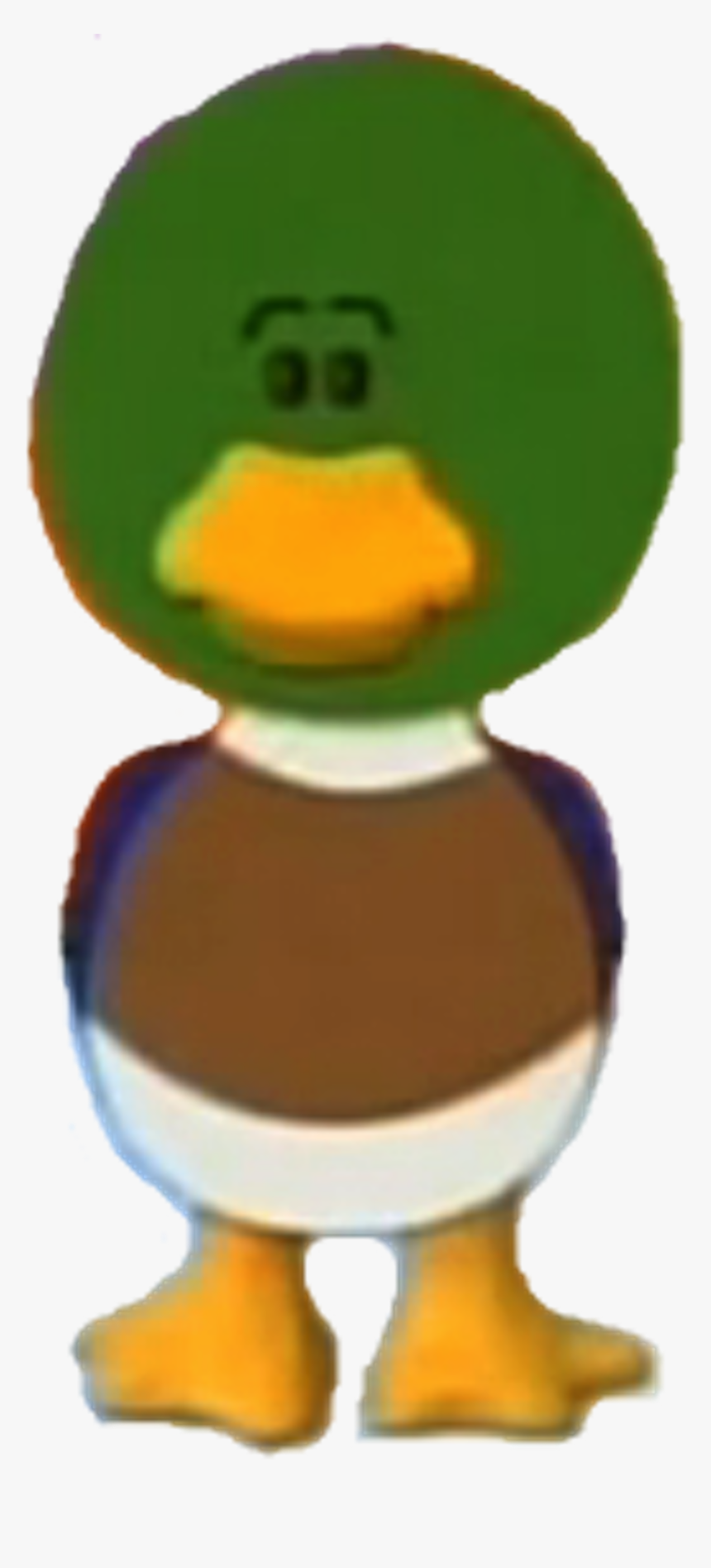 Duck, HD Png Download