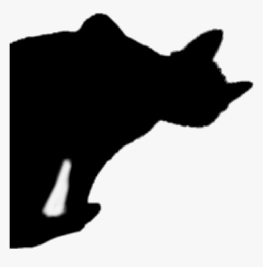 #blackcat #halloween #silhouette #cat - Black Cat, HD Png Download