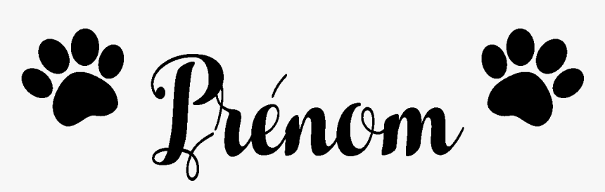 Sticker Pattes De Chien Ambiance Sticker Pet Name Paws - Calligraphy, HD Png Download