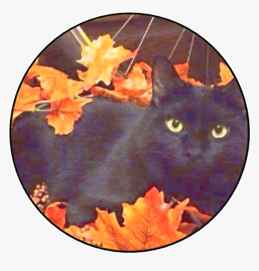 Black Cat Autumn , Png Download - Halloween Black Cat Aesthetic, Transparent Png
