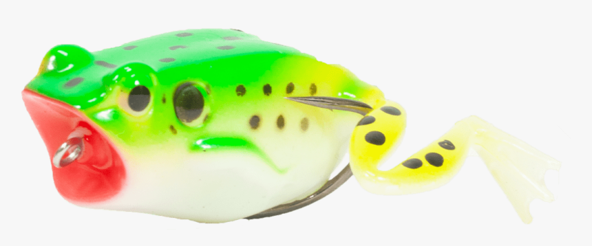 Anura Green - Animal Figure, HD Png Download