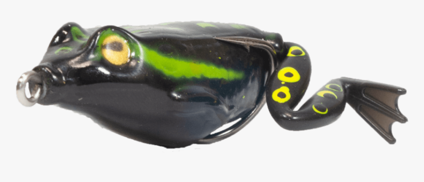 Anura Black - Fire Salamander, HD Png Download