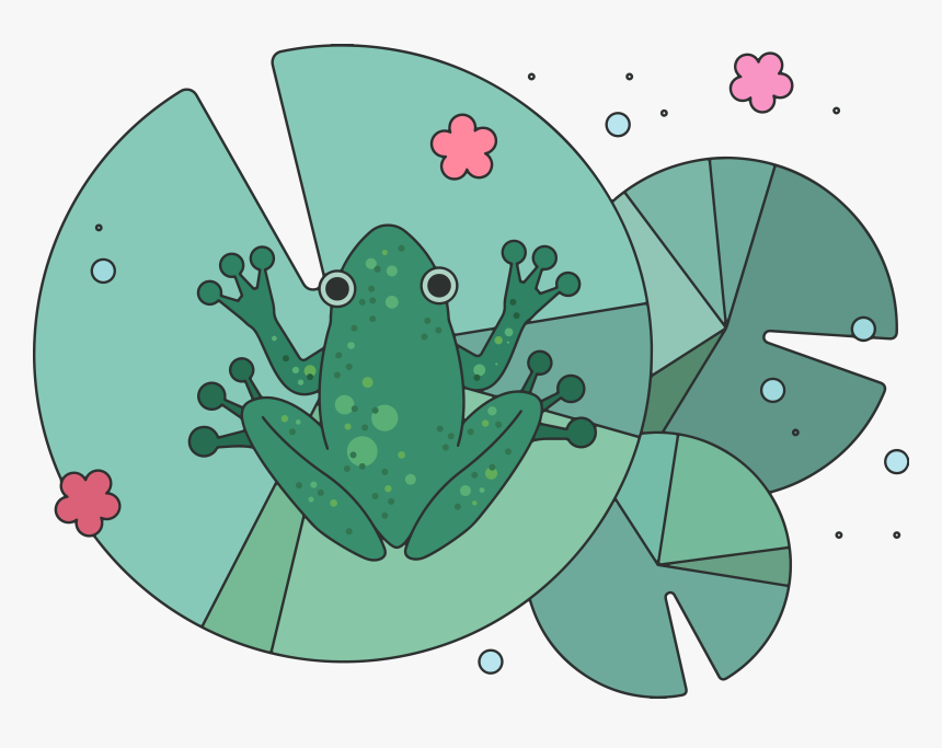 Frog, HD Png Download