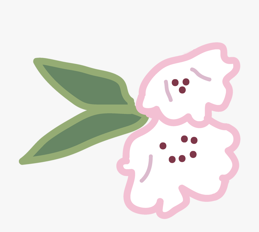 Picture - Illustration, HD Png Download