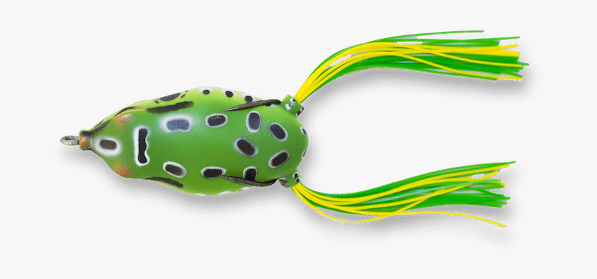 Fish, HD Png Download
