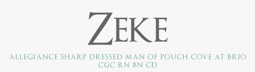 Zeke - Dekalb Health, HD Png Download