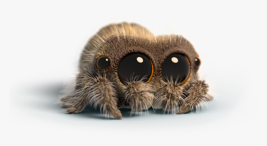 Lucas The Spider Peluche, HD Png Download