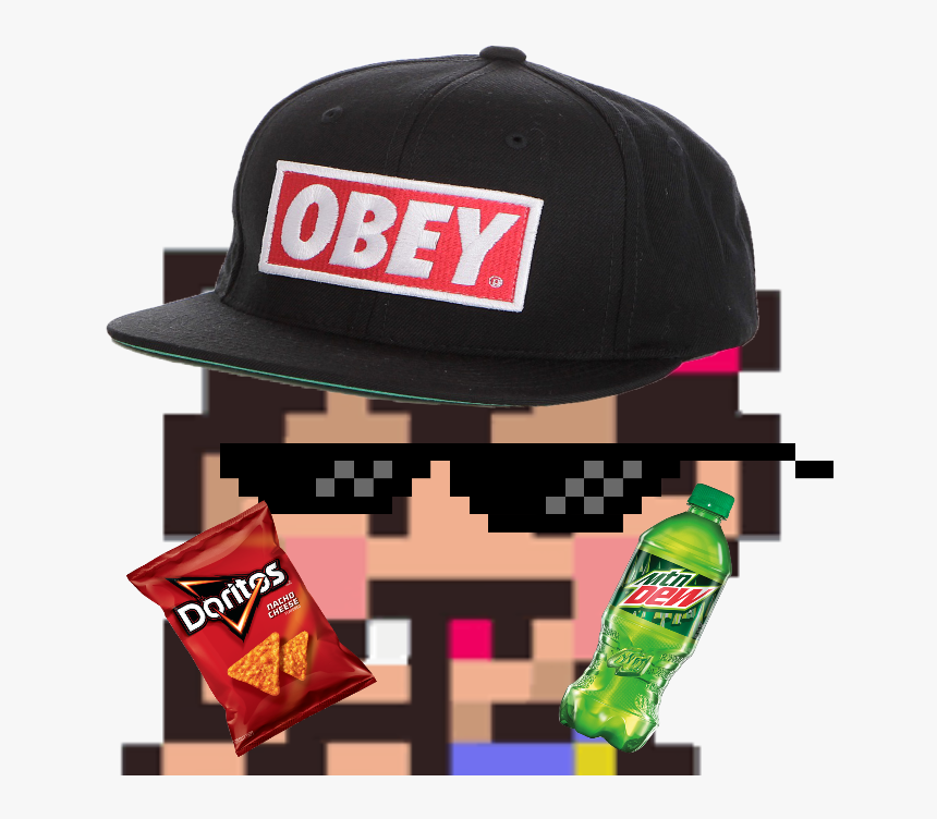 Super Smash Bros - Professional Gunda, HD Png Download